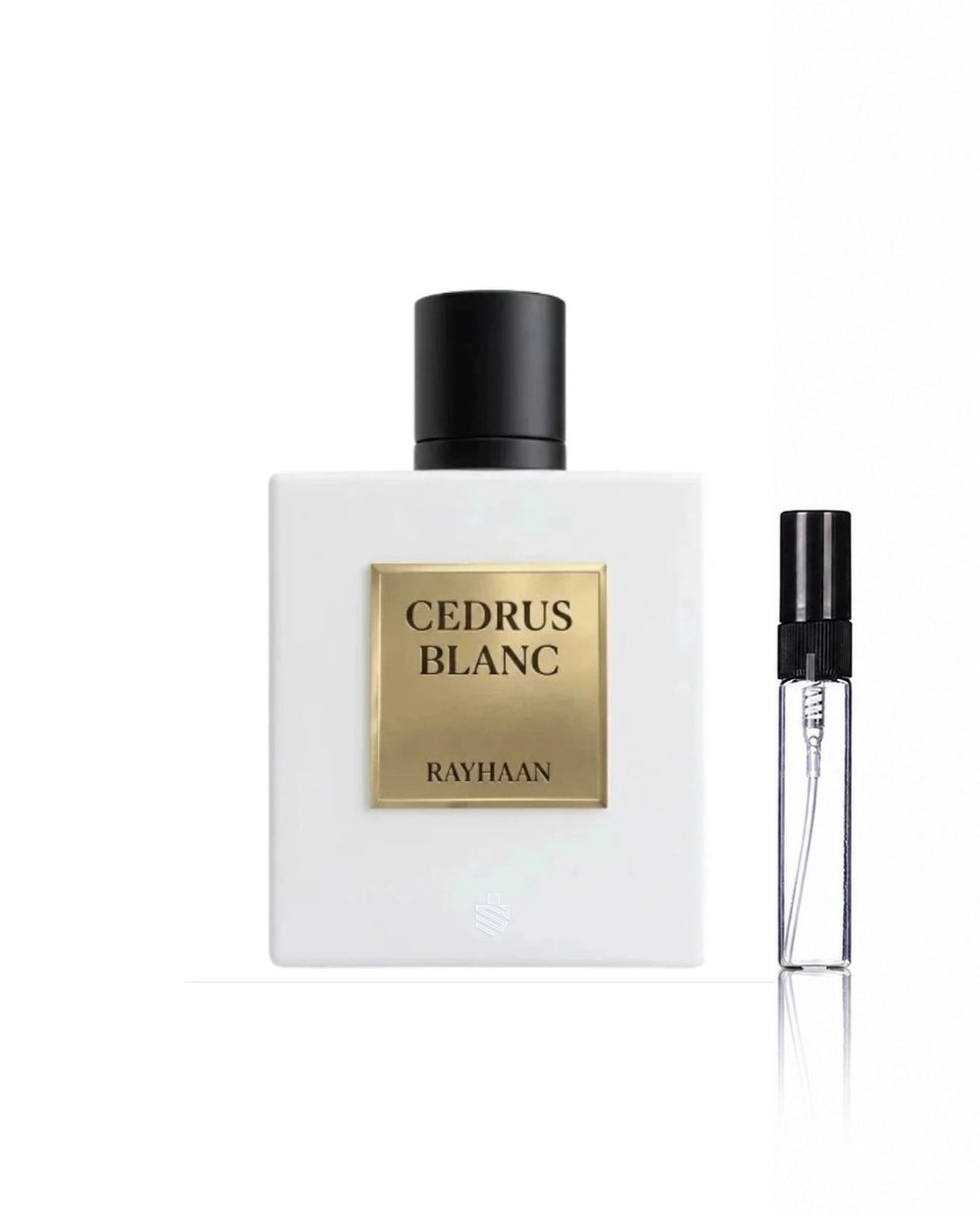 Cedrus Blanc EDP Amostra 5ML