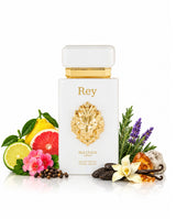 REY EDP