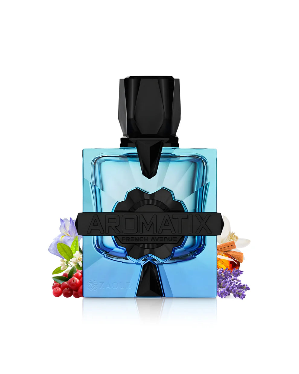 Aromatix Magnetiq ExDP