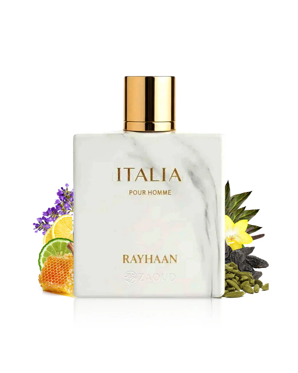Italia EDP